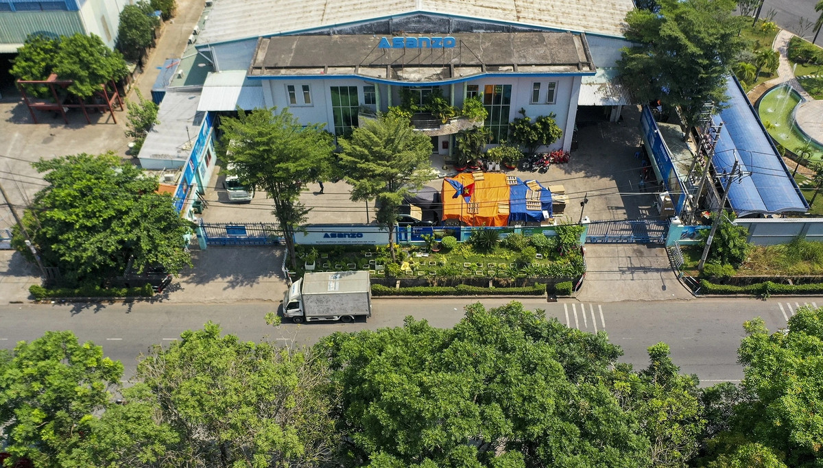 Nhin lai lum xum Asanzo truoc khi Shark Tam bi bat-Hinh-2