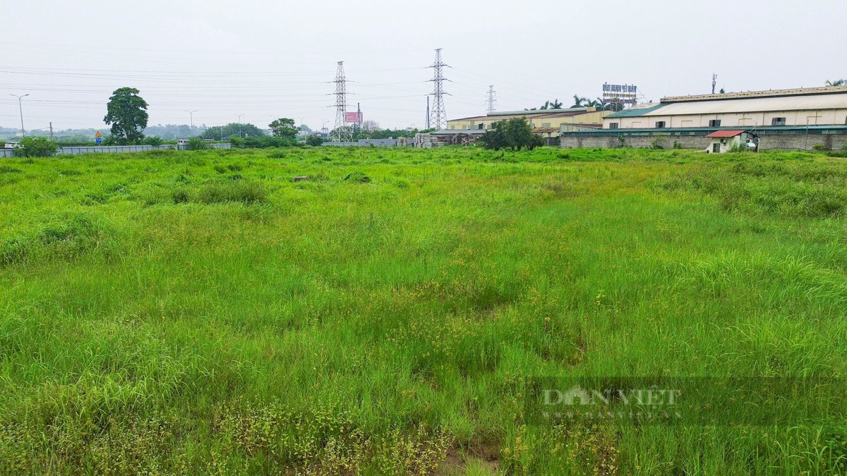 Do chậm trễ đưa dự án vào hoạt động, Công ty TNHH T’Hospital đã bị cơ quan chức năng xử phạt hành chính tại Quyết định số 540/QĐ-XPHC ngày 18/11/2022. Hiện trạng khu đất dự án vẫn là một cánh đồng cỏ hoang. Ảnh: Dân Việt).