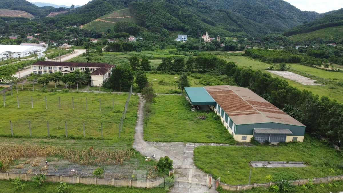 Tan muc du an san xuat, lap rap xe hon 55 ty “chet yeu”