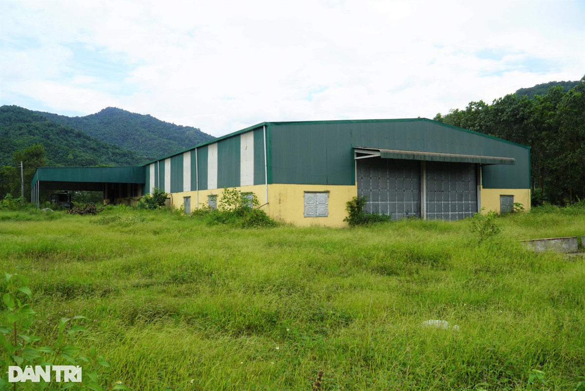 Dự án từng được kỳ vọng sẽ thúc đẩy phát triển kinh tế địa phương vùng biên giới, song kể từ khi đưa vào vận hành, do gặp nhiều khó khăn trong cơ chế chính sách về thuế và đặc biệt số lượng xe điện nhập về lắp ráp khó xuất ra thị trường nên dự án dần “chết yểu”. (Ảnh: Dân Trí).