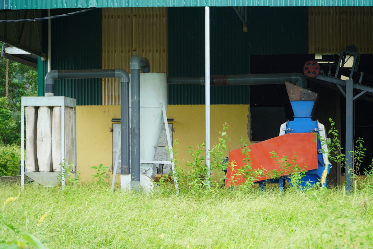 Phía trong, dãy nhà điều hành hoang tàn, nhếch nhác với cây cỏ dại mọc um tùm và máy móc để không. (Ảnh: Tiền Phong).