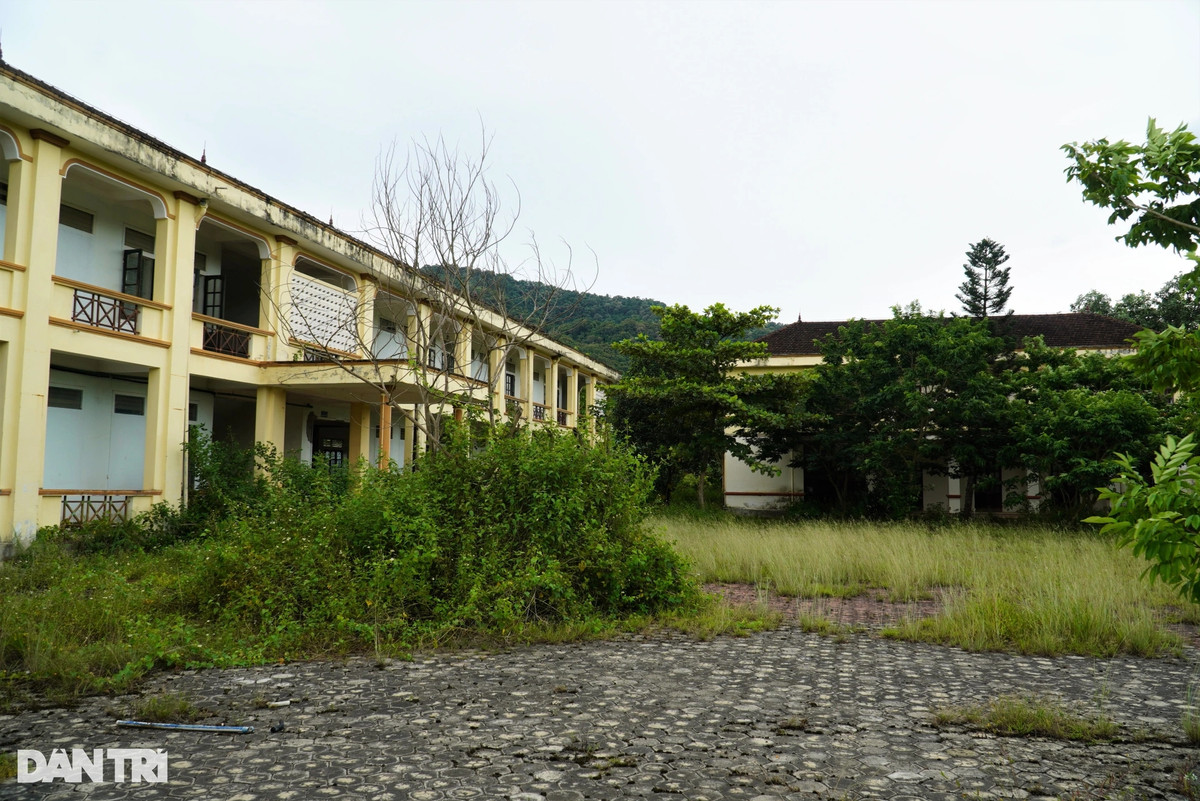 Sau thời gian dài không hoạt động, đến nay, dự án này trở nên hoang tàn, cỏ dại mọc um tùm. (Ảnh: Dân Trí).