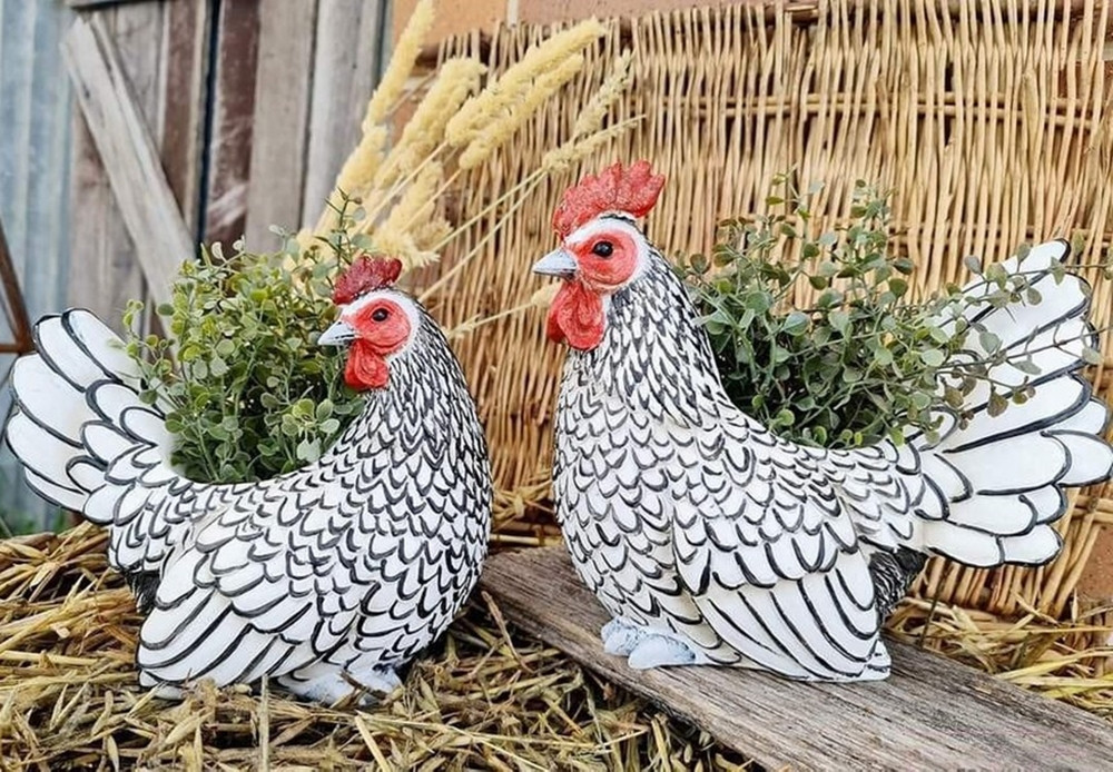 Ngoài ra, do gà vảy cá có sức đề kháng yếu và rất dễ bị dịch bệnh chết nên người nuôi cần phải chú ý chăm sóc cẩn thận, giữ chuồng sạch sẽ và đặc biệt là không nuôi chúng ở nơi quá lạnh.