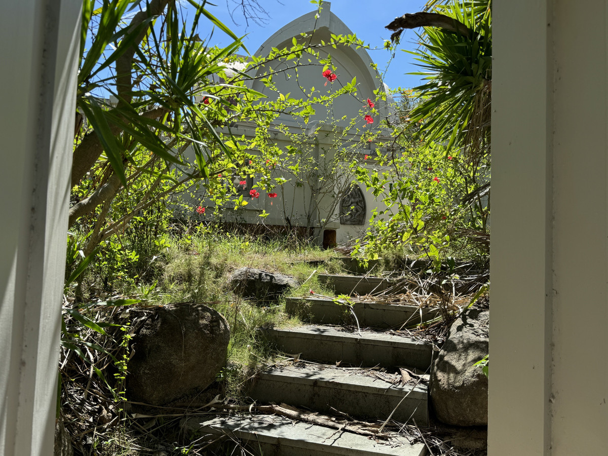 Lối vào các biệt thự bị cây cỏ che kín. (Ảnh: Người lao động).