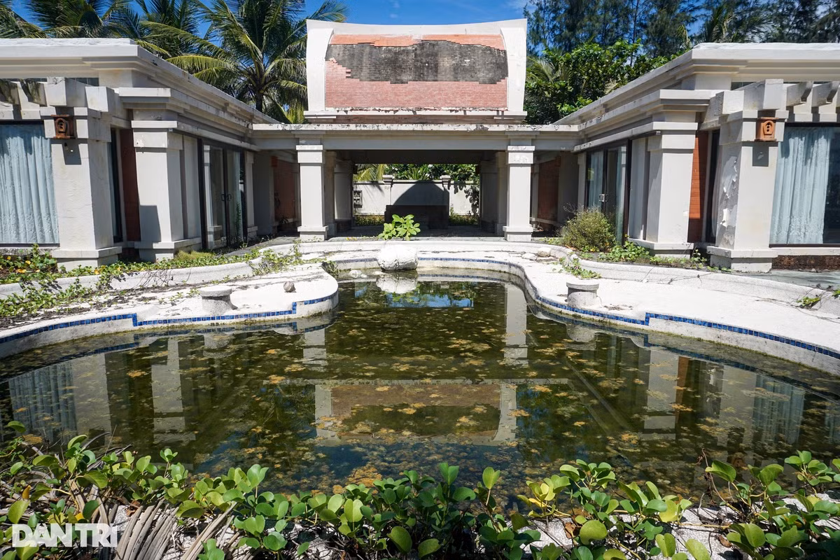 Hiện tại, khu nghỉ dưỡng Pulchra Resort hiện bị bỏ hoang, không còn hoạt động. Từ bên ngoài vào trong, cỏ mọc um tùm khắp nơi. (Ảnh: Dân Trí).