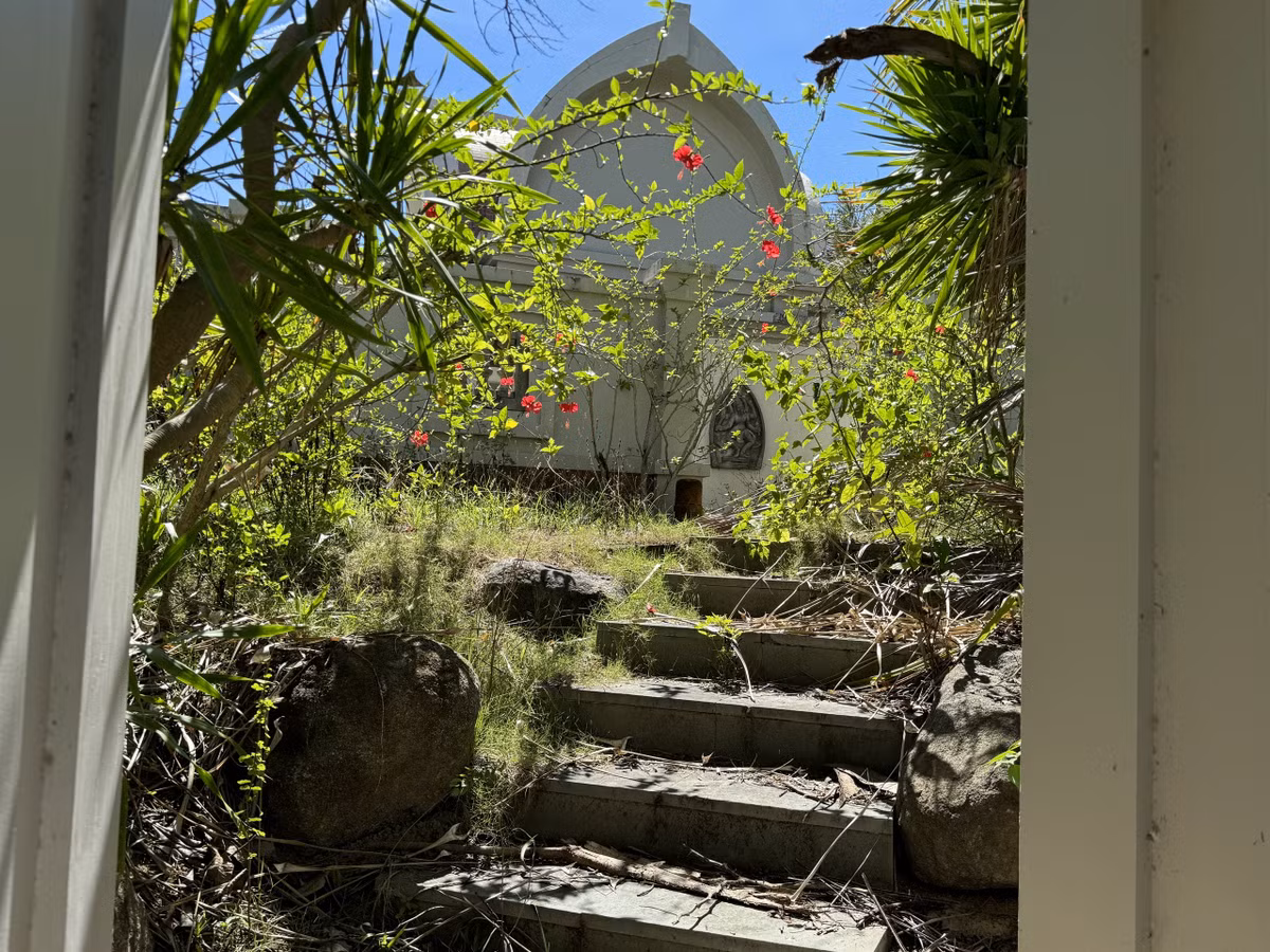 Lối vào các biệt thự bị cây cỏ che kín. (Ảnh: Người lao động).