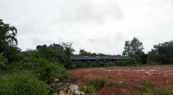 Phát hiện thi thể nam thanh niên trong lò mổ heo: Ngày 27/8, Công an tỉnh Bình Phước phối hợp với Công an TP Đồng Xoài cho biết đang điều tra cái chết của một nam thanh xảy ra trên địa bàn. Nạn nhân được xác định là Ngô Lượm Em (33 tuổi, quê huyện Đất Đỏ, tỉnh Bà Rịa - Vũng Tàu). Thi thể nam thanh niên được phát hiện treo lơ lửng trên nhánh cây trong lò mổ heo đã bị bỏ hoang.