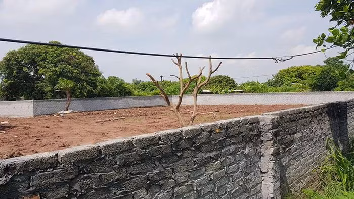 Mua ban dat nong nghiep o Hai Duong, “go” trach nhiem xa An Thuong-Hinh-4