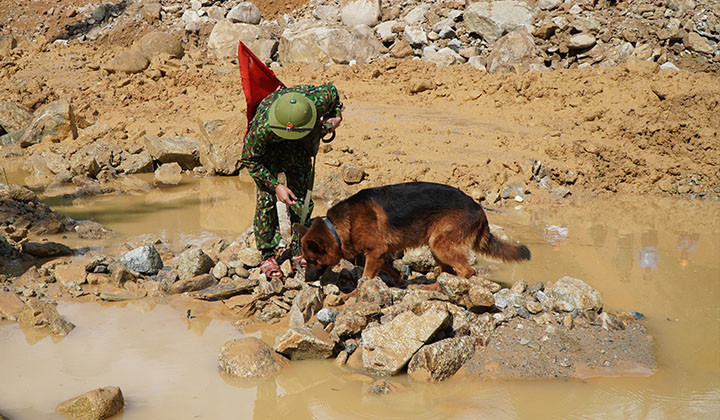 Tuy nhiên, vẫn chưa phát hiện thêm nạn nhân.