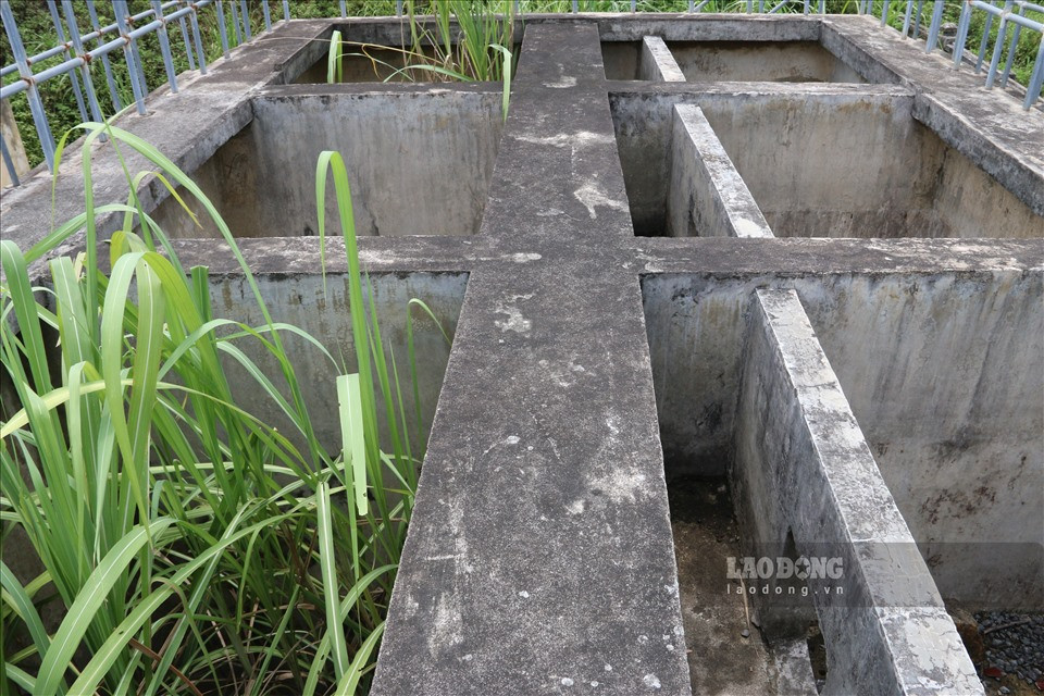 Trên bể không một giọt nước, thay vào đó là cây cối mọc um tùm cao hơn đầu người.