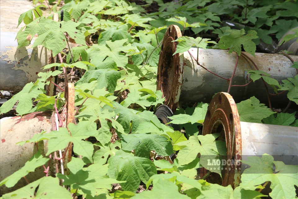 Những ống nước do không có người trông coi đã bị mất đi. Rất nhiều trang thiết bị được đầu tư hiện đại phục vụ cho việc lọc nước cung cấp cho người dân cũng không cánh mà bay.