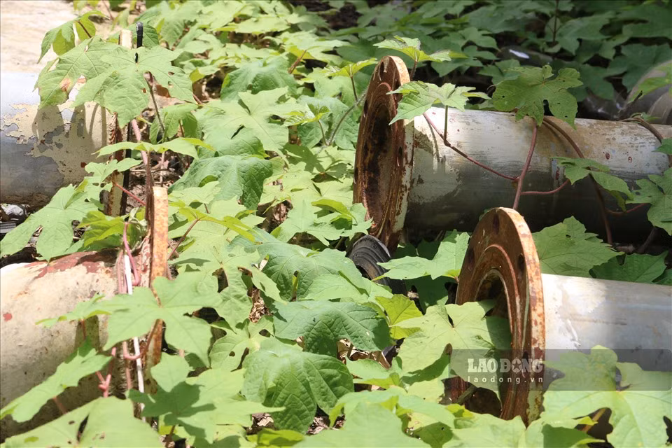 Những ống nước do không có người trông coi đã bị mất đi. Rất nhiều trang thiết bị được đầu tư hiện đại phục vụ cho việc lọc nước cung cấp cho người dân cũng không cánh mà bay.