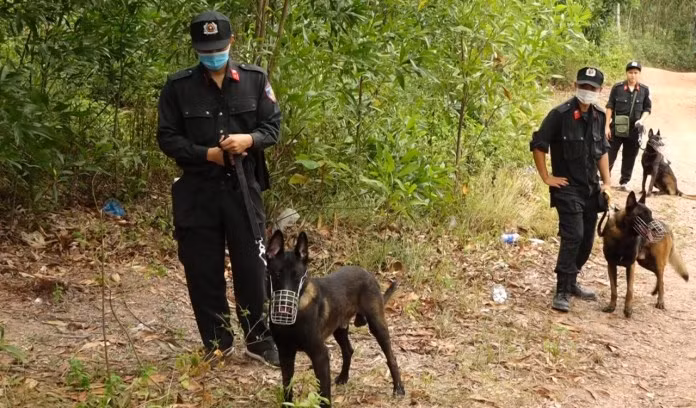 Sat hai me vo o Quang Binh: Giai ma hanh vi tan bao cua con re-Hinh-4