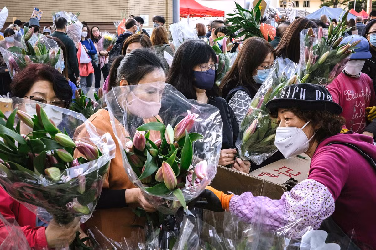 Ngoại trừ Việt Nam, các quốc gia khác đón Tết theo lịch Âm đều chuẩn bị bước sang năm con Thỏ. Ảnh: Bên trọng một chợ hoa ở Hong Kong những ngày giáp Tết.