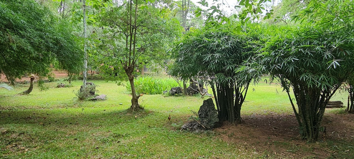 Bỏ lại sau lưng những lo âu phiền muộn của cuộc sống phàm tục, người dân cố đô và du khách thường đến nơi đây để tìm sự thanh thản, yên bình nơi cửa thiền.