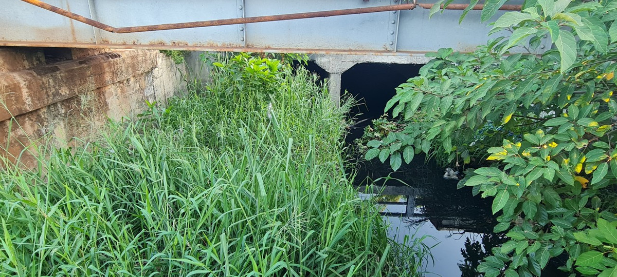 Anh D. một người dân đang sống tại khu vực này lắc đầu ngao ngán: "Cứ mưa xuống là ngập, mưa nhỏ thì ngập đường, nước vào sân, còn mưa lớn thì ngập nhà, có nhà nước lên hơn 1m. Tối nào nghe mưa to là không ngủ được, nhiều đêm phải thức trắng để kê dọn đồ đạc, tát nước khi dứt mưa để đỡ ngập".