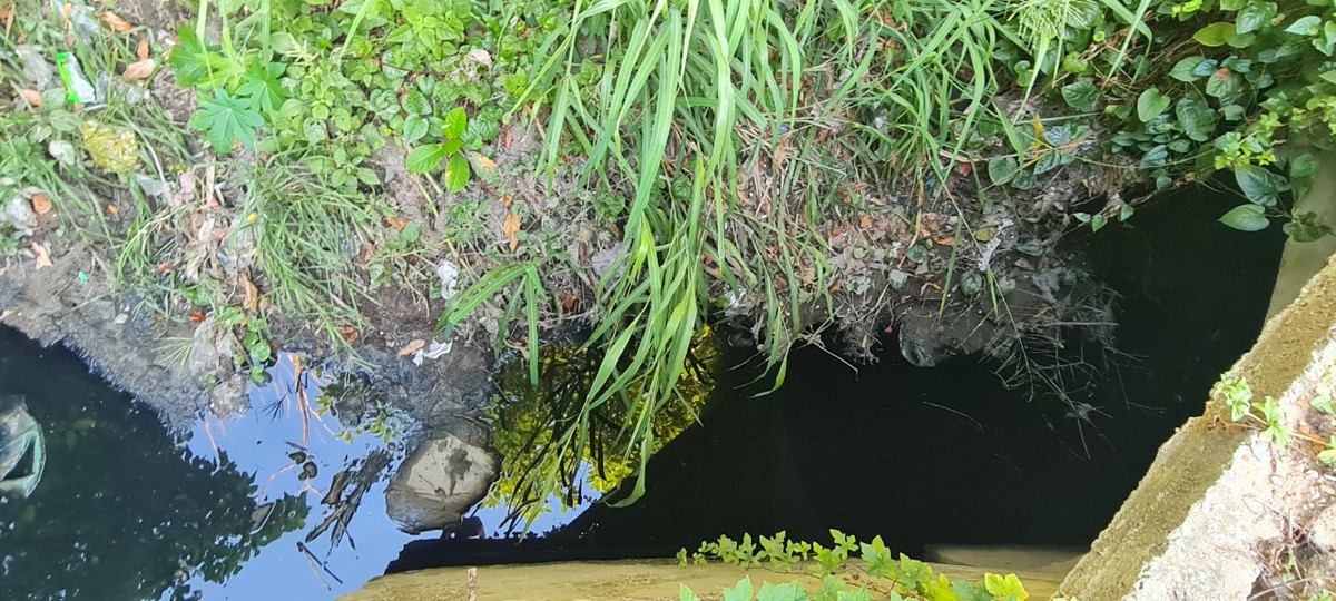 Đối với các hộ dân khu vực Khe Cạn, phường Thanh Khê Tây, quận Thanh Khê, đây được xem là "phao cứu sinh" giúp họ đỡ thấp thỏm mỗi mùa mưa đến, bởi bao năm nay, người dân khu vực này phải chịu cảnh "hễ mưa là ngập".