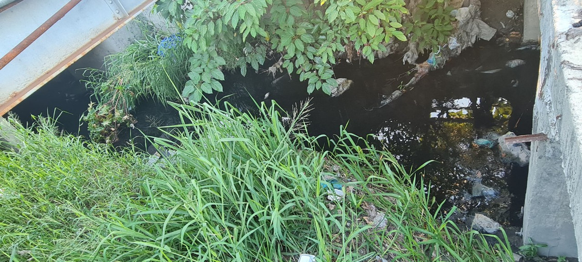 Mùa mưa bão năm nay sắp đến, nhiều người dân khu vực Khe Cạn lại thấp thỏm lo âu khi thấy tuyến cống thoát nước "chiến lược" đang ngập trong đám cỏ dại, rác thải.