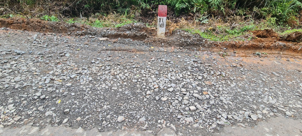 Tuyến đường này có vai trò rất quan trọng trong việc phát triển kinh tế - xã hội của tỉnh Quảng Nam, TP Đà Nẵng và vùng kinh tế trọng điểm miền Trung.