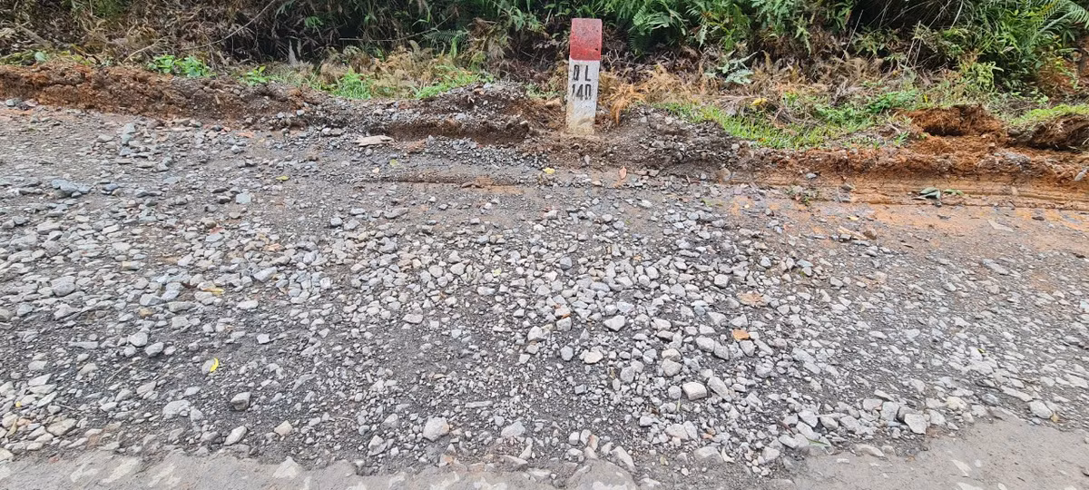 Tuyến đường này có vai trò rất quan trọng trong việc phát triển kinh tế - xã hội của tỉnh Quảng Nam, TP Đà Nẵng và vùng kinh tế trọng điểm miền Trung.