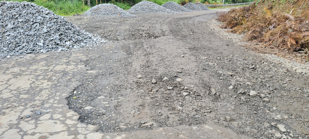 UBND tỉnh Quảng Nam đã làm việc, xúc tiến mời gọi đầu tư, nhưng hiện không có doanh nghiệp tài trợ nguồn vốn để đầu tư theo hình thức trên. Đối với việc đầu tư theo hình thức BOT trên tuyến đường hiện có, Công ty CP Tập đoàn Trường Hải (THACO) đề xuất 2 phương án.