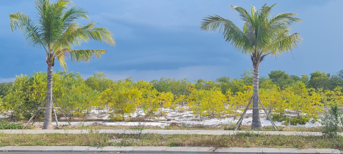 Tỉnh Quảng Nam xác định đường Võ Chí Công là tuyến đường phát triển du lịch ven biển kết hợp phát triển đô thị và công nghiệp, có cảnh quan đẹp, là hành lang hạ tầng quan trọng với đa dạng loại hình giao thông.