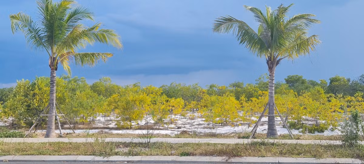 Tỉnh Quảng Nam xác định đường Võ Chí Công là tuyến đường phát triển du lịch ven biển kết hợp phát triển đô thị và công nghiệp, có cảnh quan đẹp, là hành lang hạ tầng quan trọng với đa dạng loại hình giao thông.