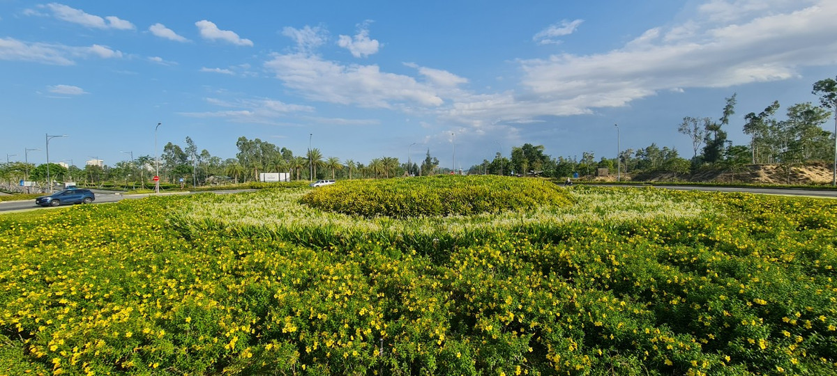 Đây cũng là điểm check-in yêu thích của nhiều du khách với "hoa vàng trên cỏ xanh".