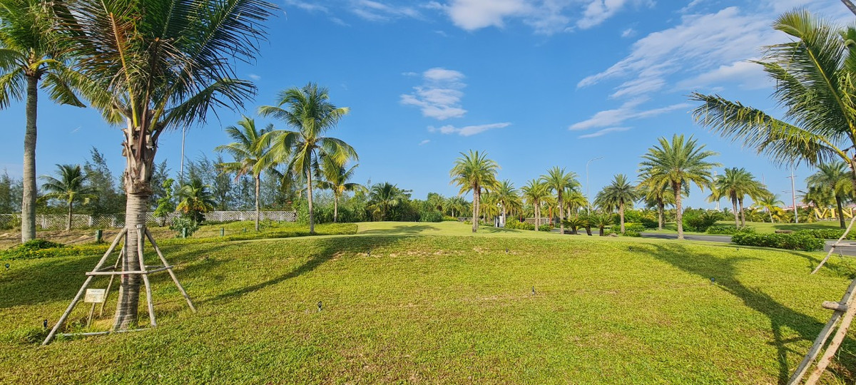 Những thảm cỏ xanh mướt giữa khung cảnh thiên nhiên tuyệt đẹp.