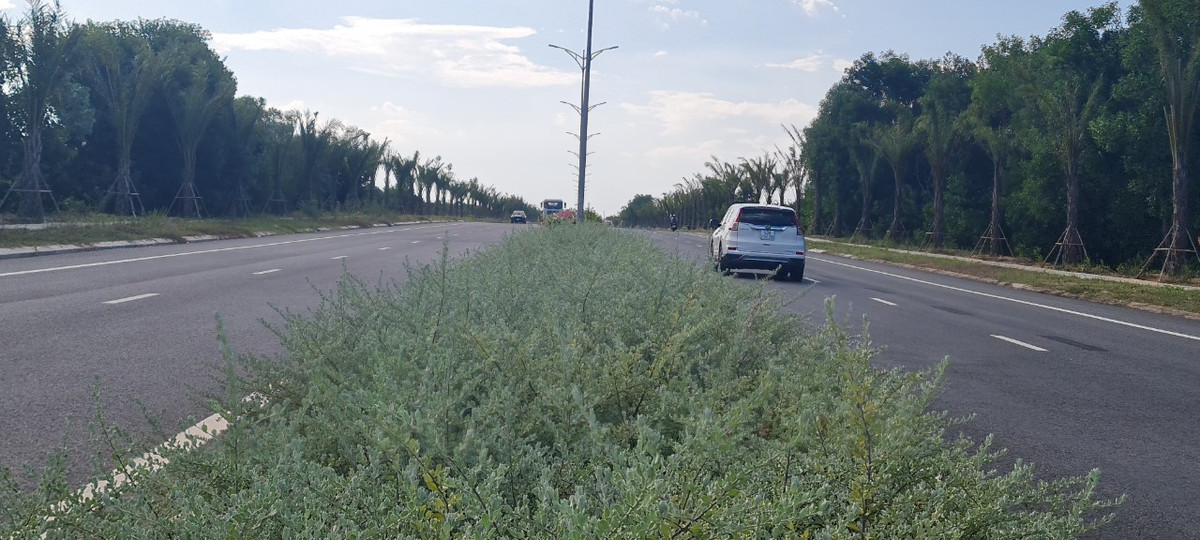 Tháng 3/2022, tuyến đường này đã kết nối thông suốt toàn tuyến từ cầu Cửa Đại đến sân bay Chu Lai.