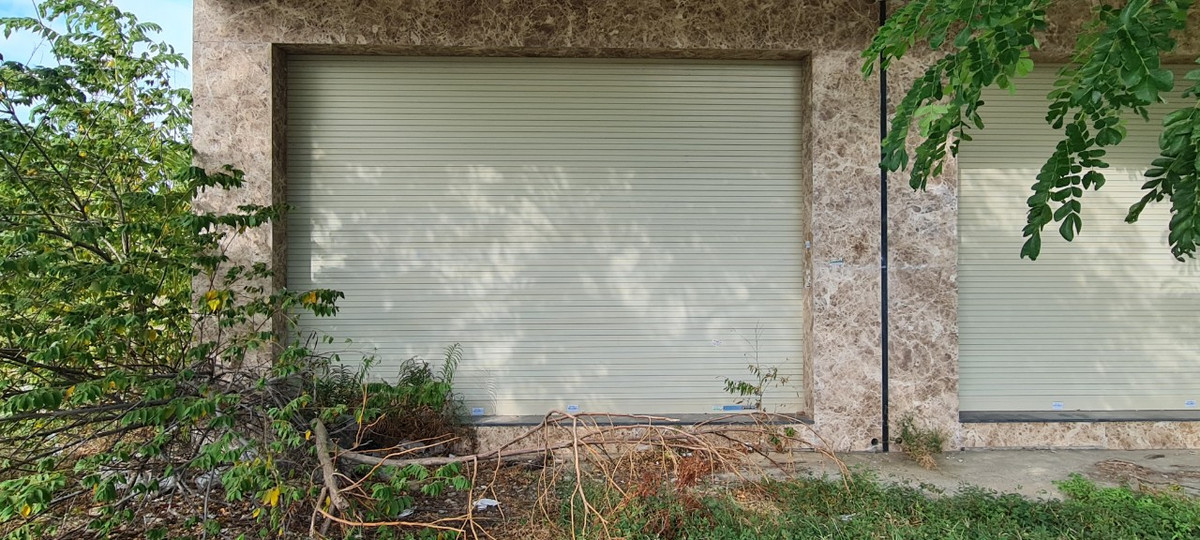 Cỏ dại bắt đầu len lỏi đến trước mặt tiền chính của các căn shophouse tiền tỷ.