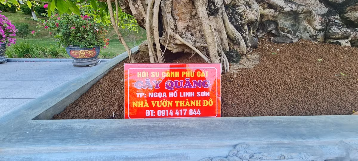 Chủ nhân của tác phẩm độc đáo là một nhà vườn miền Trung.