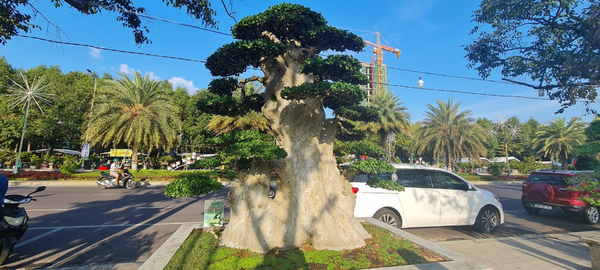 Tác phẩm duối "Đại phúc lâm môn" của nhà vườn Bình Định.