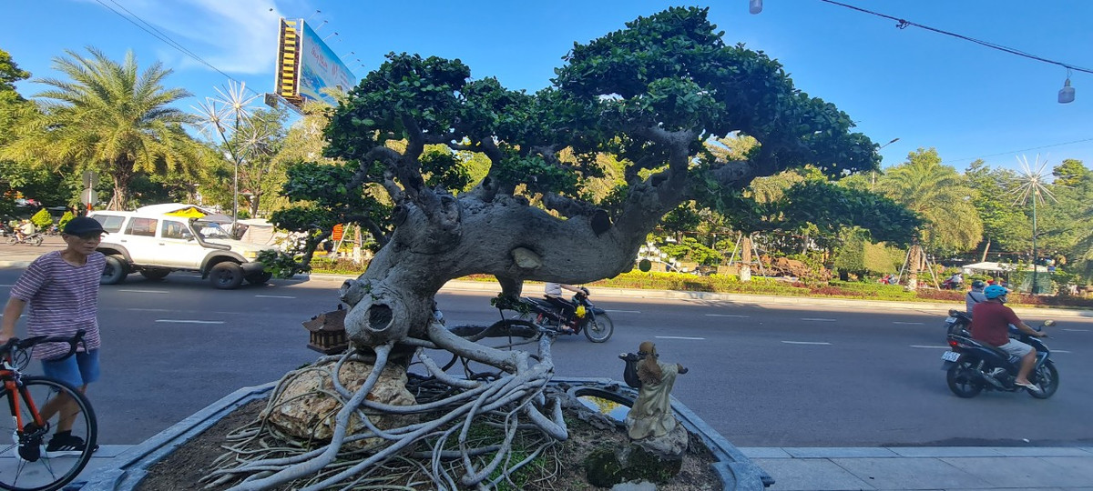 Tác phẩm duối "Long quy bái tổ" của một nhà vườn ở huyện Tuy Phước, tỉnh Bình Định.