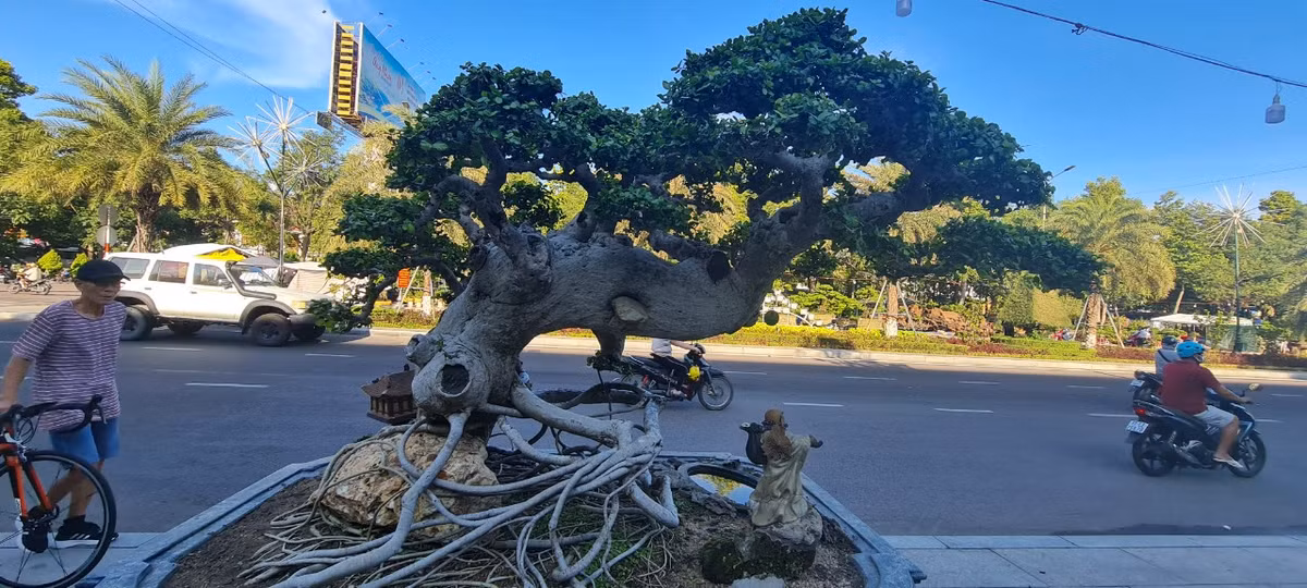 Tác phẩm duối "Long quy bái tổ" của một nhà vườn ở huyện Tuy Phước, tỉnh Bình Định.