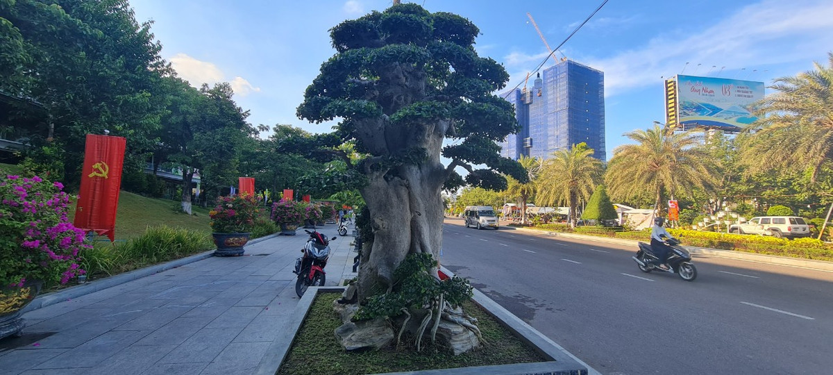 Tuy nhiên, đây không phải là cụ duối duy nhất tại triển lãm năm nay.