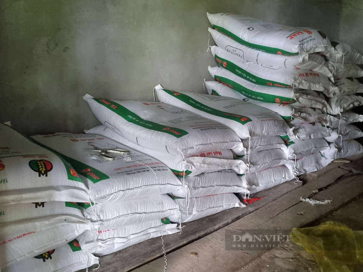 Lao nong Ninh Binh lai gan 300 trieu/nam nho nuoi ga Ai Cap-Hinh-7