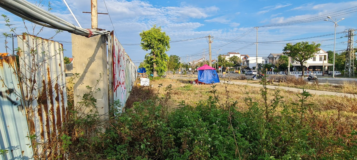 Cỏ dại ngập lối ngay từ phía bên ngoài hàng rào tôn đã rỉ sét.