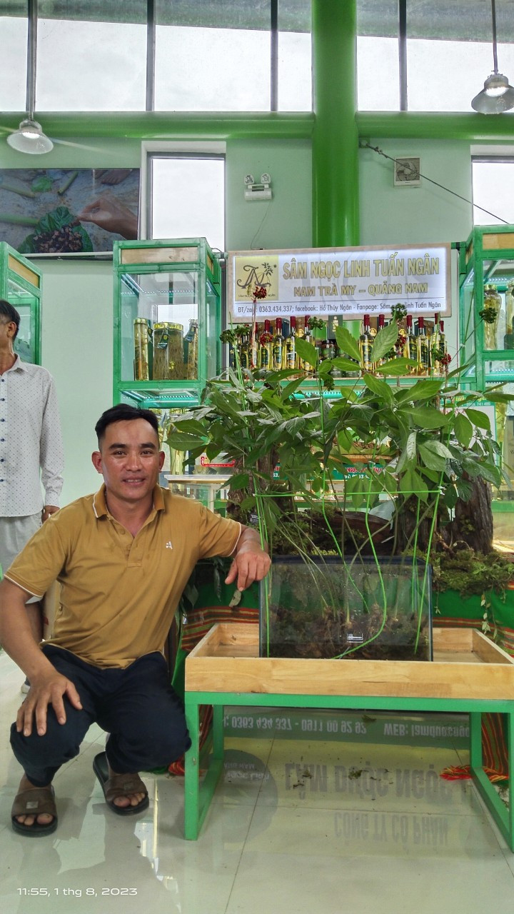 Anh Thắng, chủ nhân của cây sâm Ngọc Linh 9 nhánh độc nhất tại Lễ hội Sâm Ngọc Linh năm nay cho biết, cây sâm này trước đây được đào từ tự nhiên. Hiện nay, cây đã cao khoảng 80cm, trọng lượng gần 1kg.
