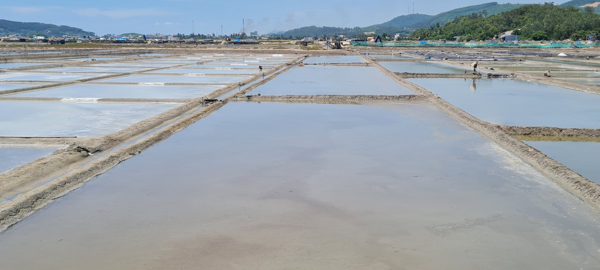 Những ngày hạ, biển trong xanh, cánh đồng muối lấp lánh dưới ánh nắng, tạo nên khung cảnh hút hồn du khách.
