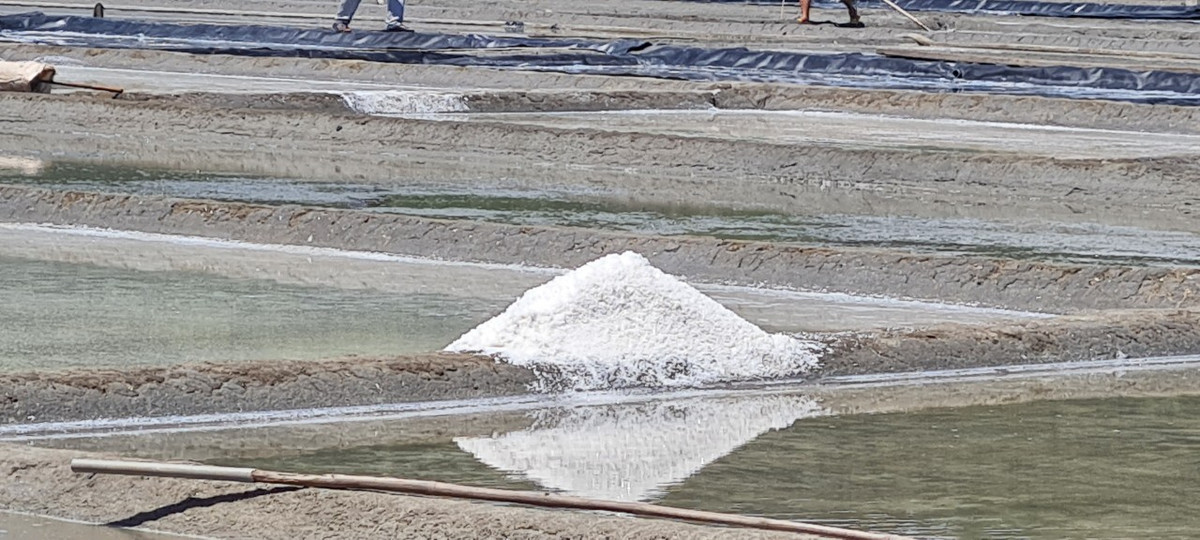 Muối Sa Huỳnh nổi tiếng là có vị mặn ngon được nhiều người biết đến.