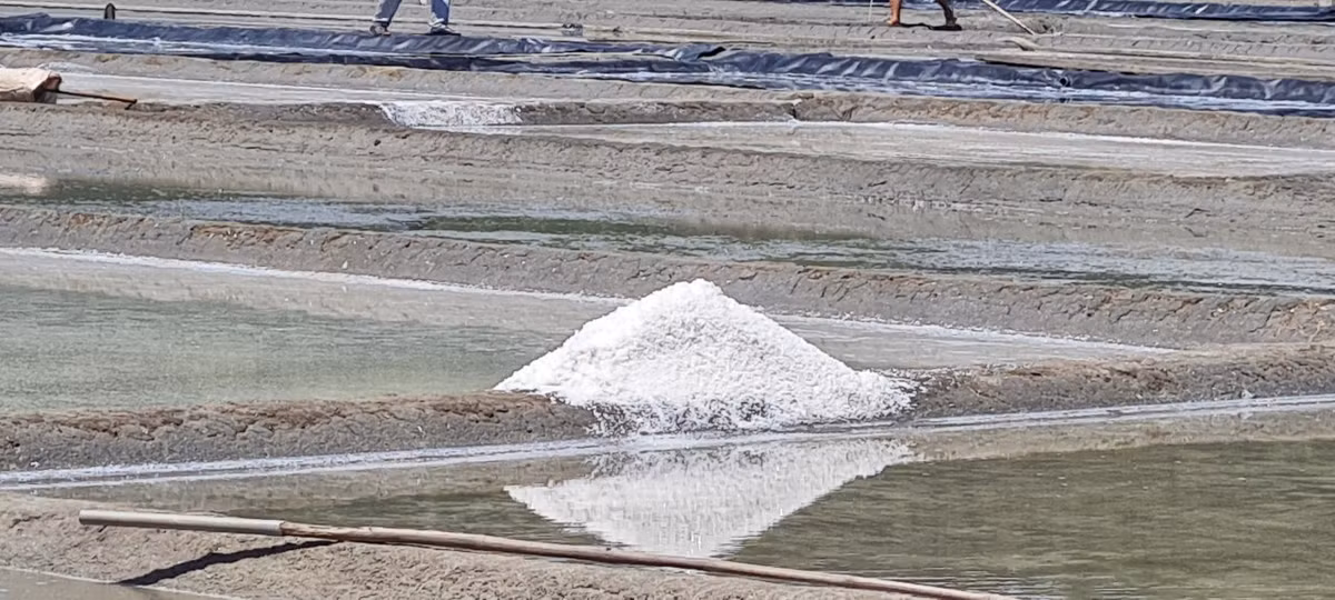 Muối Sa Huỳnh nổi tiếng là có vị mặn ngon được nhiều người biết đến.