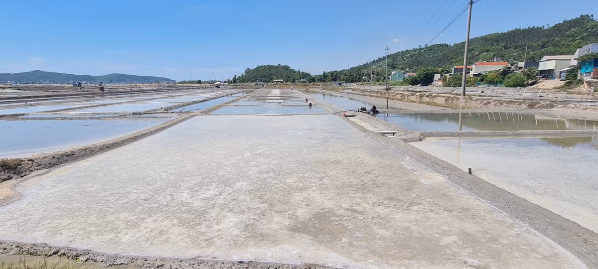 Với tuổi đời hàng trăm năm, đồng muối Sa Huỳnh không chỉ là vựa muối quan trọng bậc nhất khu vực Nam Trung Bộ mà còn là một làng nghề truyền thống nổi tiếng. Hàng trăm năm qua, nghề muối đã gắn bó với người dân mảnh đất này.