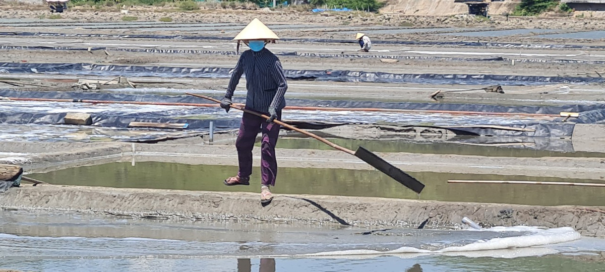 Đồng muối Sa Huỳnh là một trong số ít những cánh đồng còn giữ nguyên lối sản xuất truyền thống nền đất.