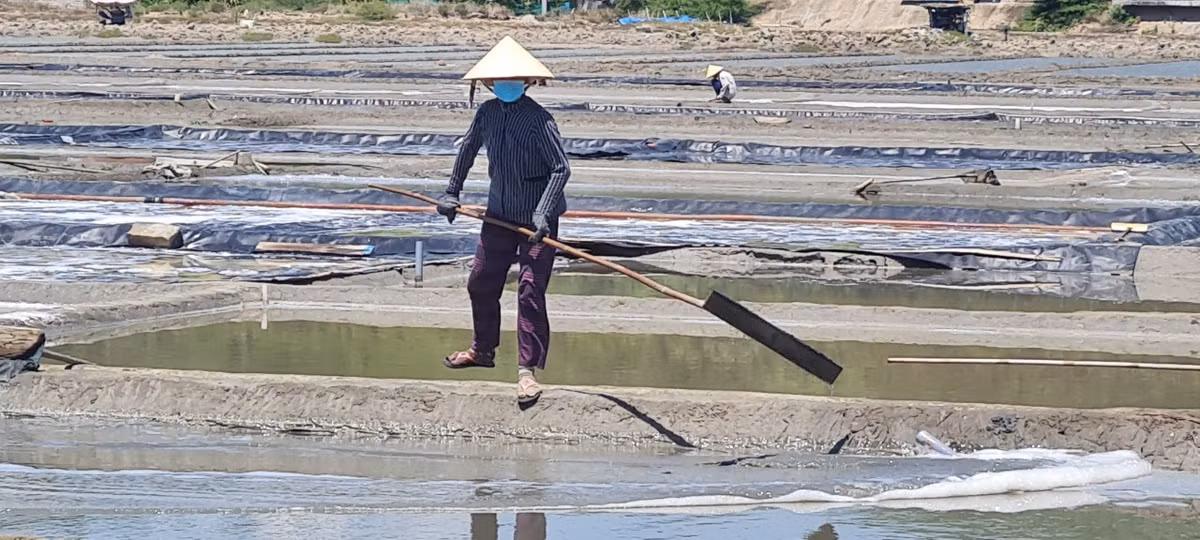 Đồng muối Sa Huỳnh là một trong số ít những cánh đồng còn giữ nguyên lối sản xuất truyền thống nền đất.
