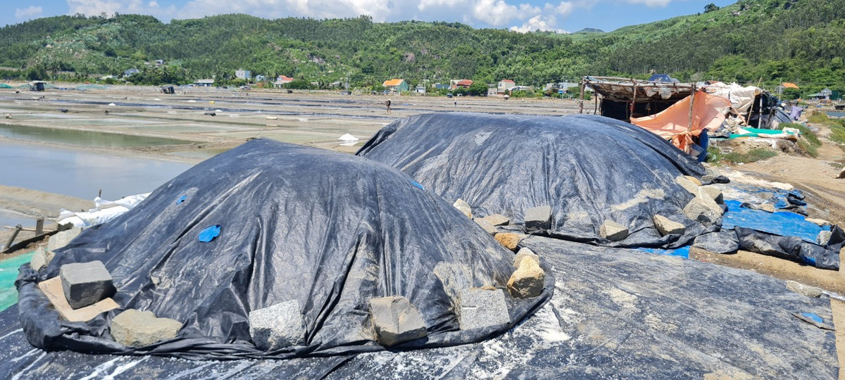 ằng năm, Sa Huỳnh cung cấp cho thị trường từ 6.000 – 6.500 tấn muối.