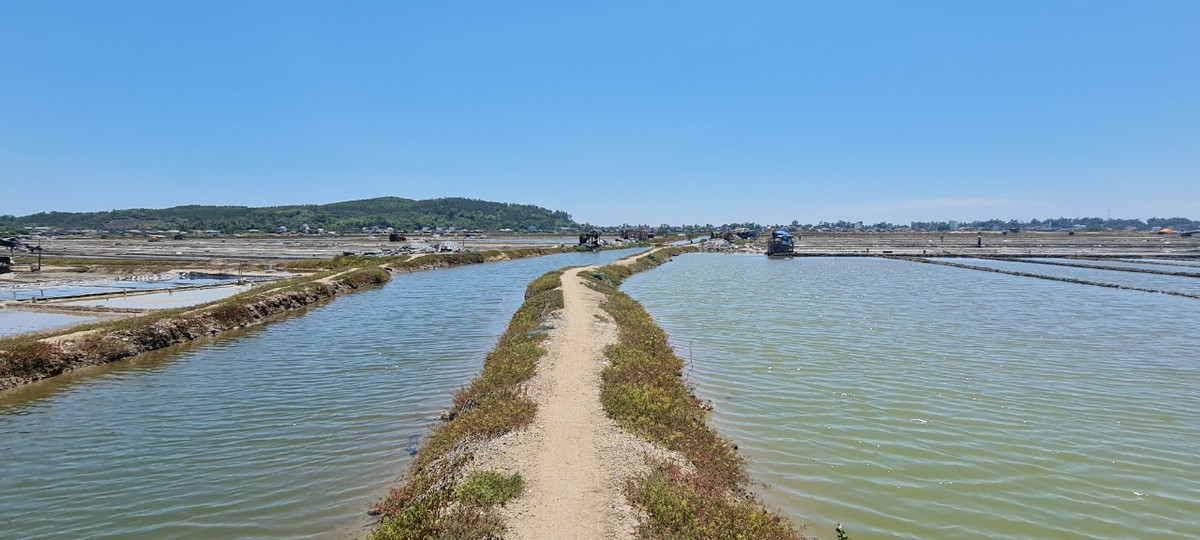  Đồng muối Sa Huỳnh có diện tích khoảng 105ha, nằm ở thị xã Đức Phổ, tỉnh Quảng Ngãi, dọc quốc lộ 1A, được xếp vào loại quy mô và nổi tiếng bậc nhất ở dải đất miền Trung.