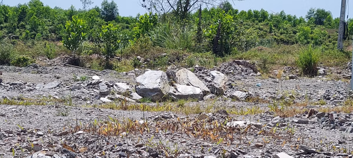 Duong Vanh dai phia Tay Da Nang: Du an ngan ty lien tuc tre hen-Hinh-8