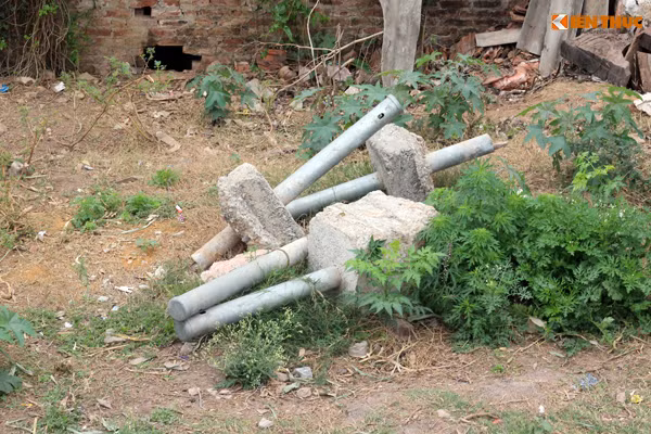 Hoang hon dai ho lan cho gio lon thoi do de nguoi o Ha Noi-Hinh-3