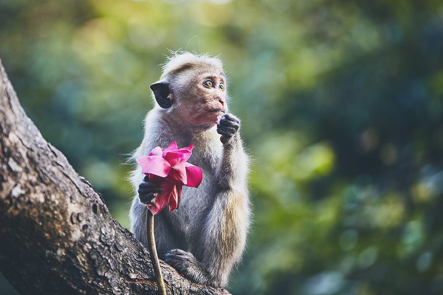 Trong 14 ngày tới, mọi việc sẽ được cải thiện, tình hình thay đổi, những điều bạn muốn làm là có thể làm được. Tiền bạc từ đó rủng rỉnh hơn, nâng cao chất lượng cuộc sống. 